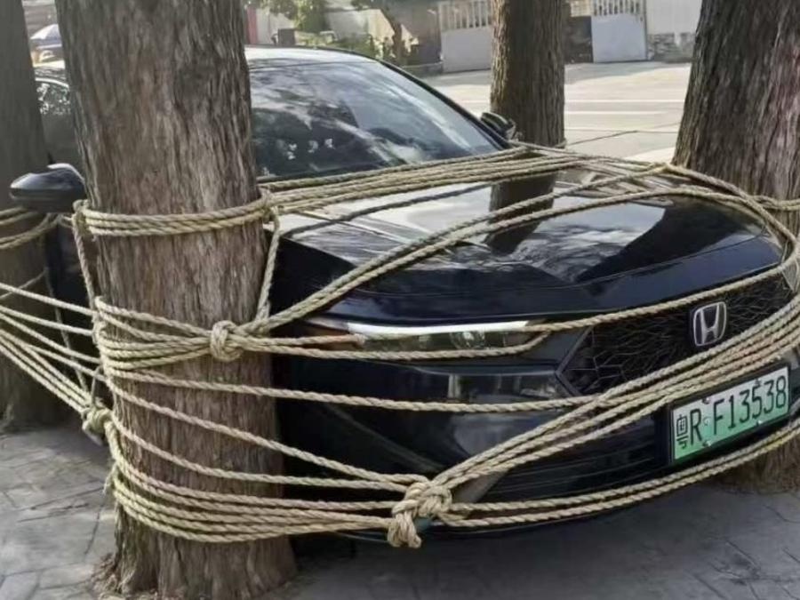 china_hold_cars1.jpg
